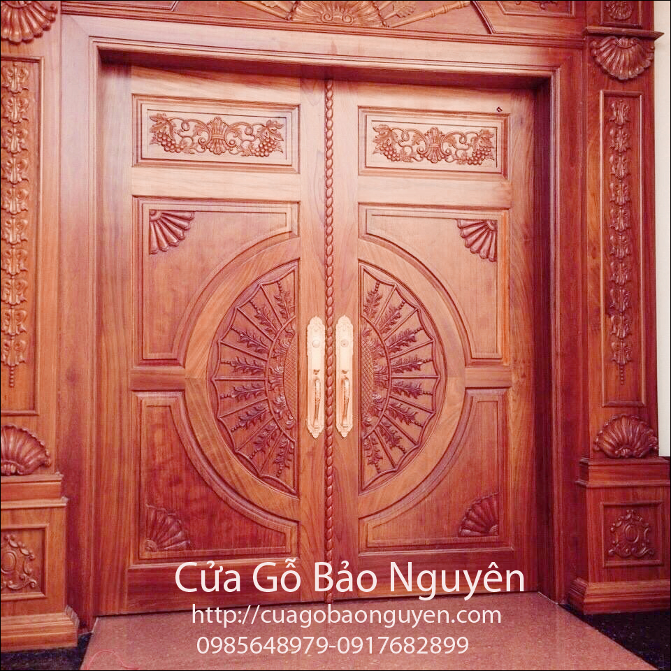 Mẫu cửa đi biệt thự mặt tiền tân cổ điển đẹp M17