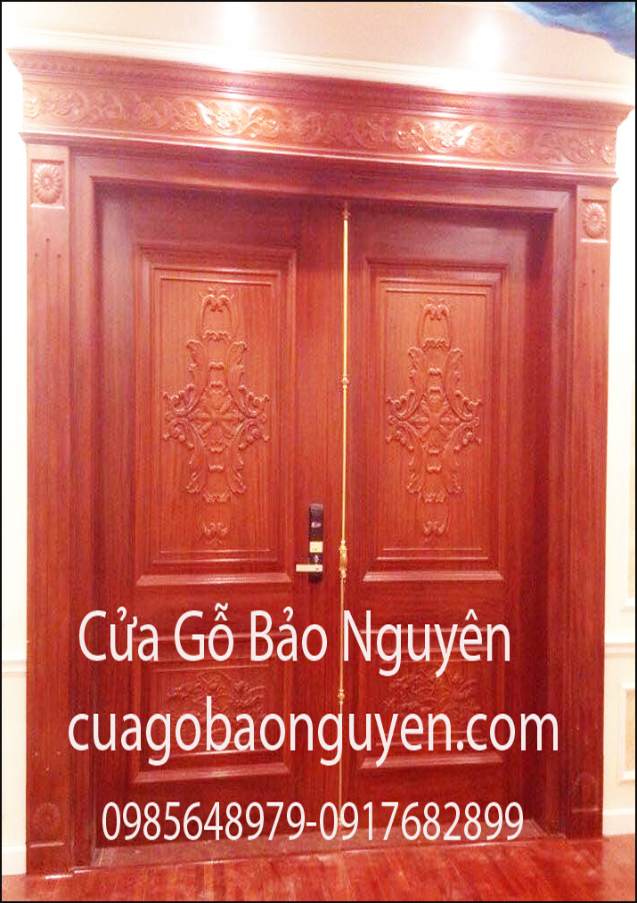 Cửa đi 2 cánh lá đục nẹp đắp M4