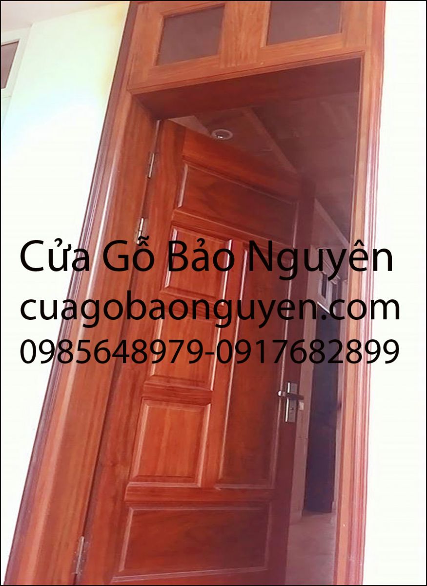 cửa đi thông phòng hiện đại M19